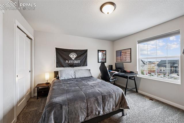 MLS Image for 9887  Antelope Ravine  ,Colorado Springs, Colorado