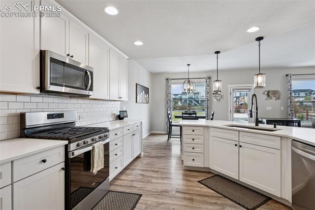MLS Image for 9887  Antelope Ravine  ,Colorado Springs, Colorado