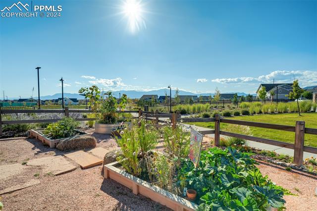 MLS Image for 6373  Syre  ,Colorado Springs, Colorado