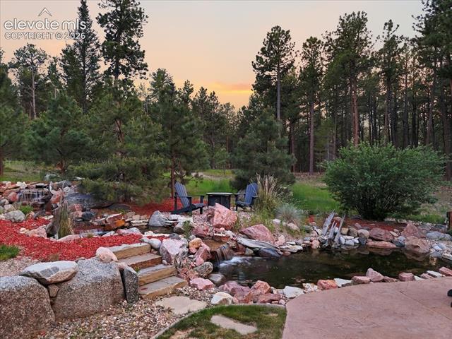 MLS Image for 15575  Winding Trail  ,Colorado Springs, Colorado