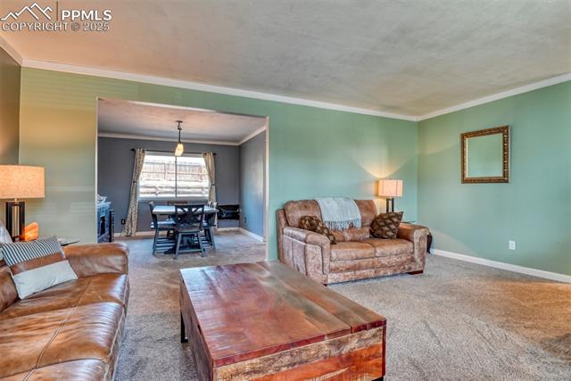 MLS Image for 7410  Hickorywood  ,Colorado Springs, Colorado