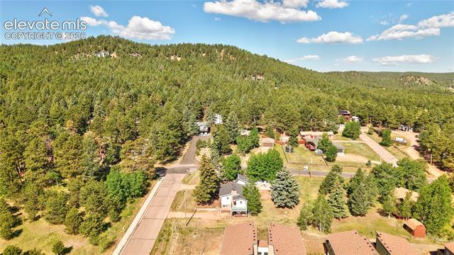 MLS Image for 924  Spruce Haven  ,Woodland Park, Colorado