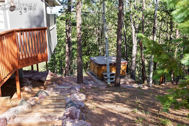 MLS Image for 337  Blue Spruce  ,Divide, Colorado