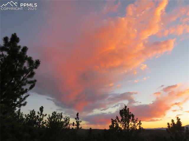 MLS Image for 337  Blue Spruce  ,Divide, Colorado