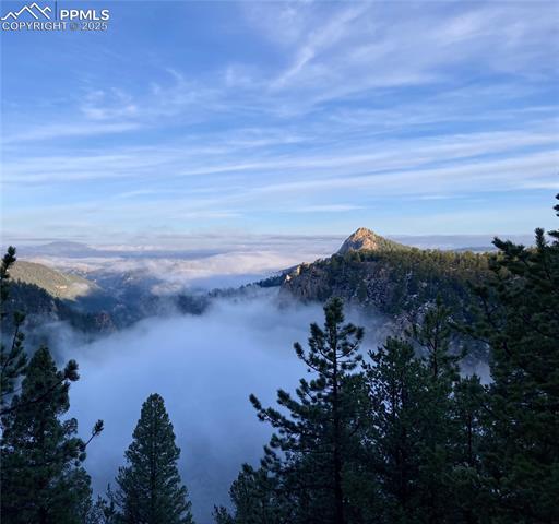 MLS Image for 337  Blue Spruce  ,Divide, Colorado