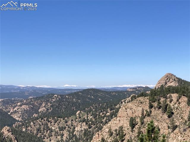 MLS Image for 337  Blue Spruce  ,Divide, Colorado