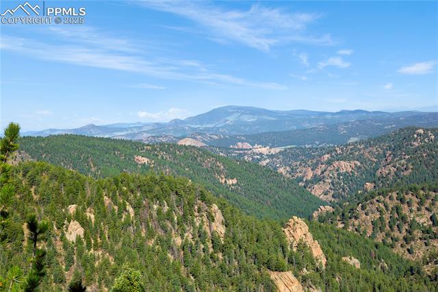 MLS Image for 337  Blue Spruce  ,Divide, Colorado