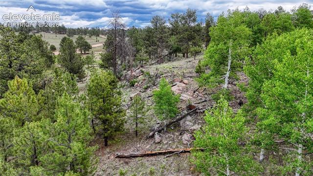MLS Image for 330  Arrowhead  ,Florissant, Colorado