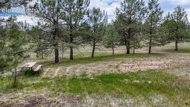MLS Image for 330  Arrowhead  ,Florissant, Colorado