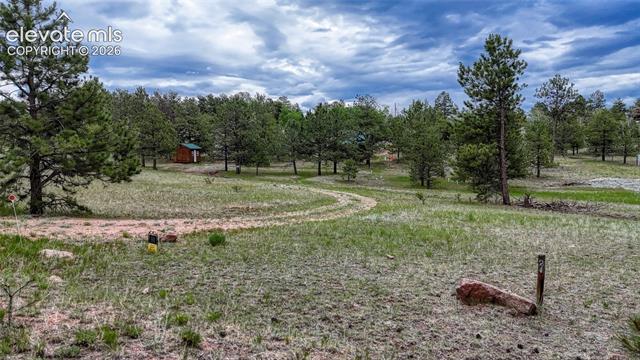 MLS Image for 330  Arrowhead  ,Florissant, Colorado