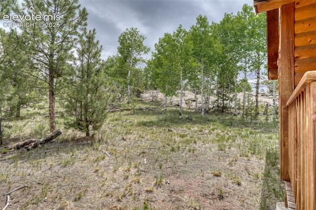 MLS Image for 330  Arrowhead  ,Florissant, Colorado