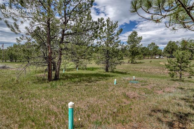 MLS Image for 330  Arrowhead  ,Florissant, Colorado