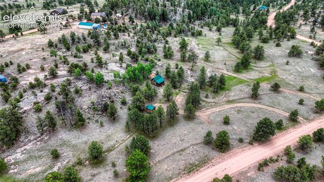 MLS Image for 330  Arrowhead  ,Florissant, Colorado