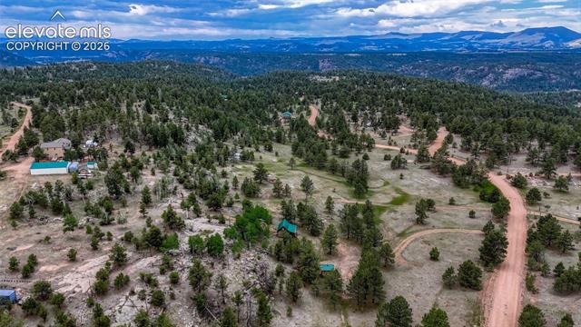 MLS Image for 330  Arrowhead  ,Florissant, Colorado
