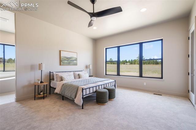 MLS Image for 11475  Bison Meadows  ,Colorado Springs, Colorado