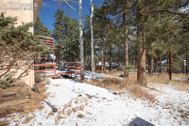 MLS Image for 401  Coraline  ,Woodland Park, Colorado