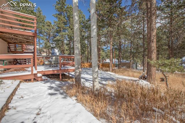 MLS Image for 401  Coraline  ,Woodland Park, Colorado