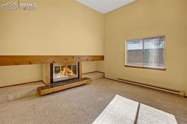 MLS Image for 401  Coraline  ,Woodland Park, Colorado