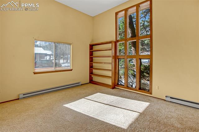 MLS Image for 401  Coraline  ,Woodland Park, Colorado