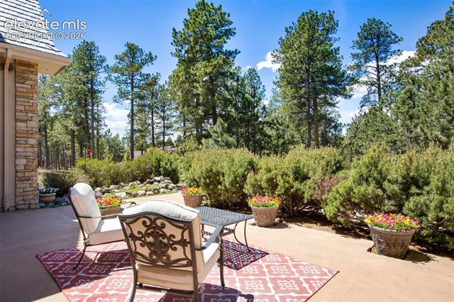 MLS Image for 16075  Winding Trail  ,Colorado Springs, Colorado