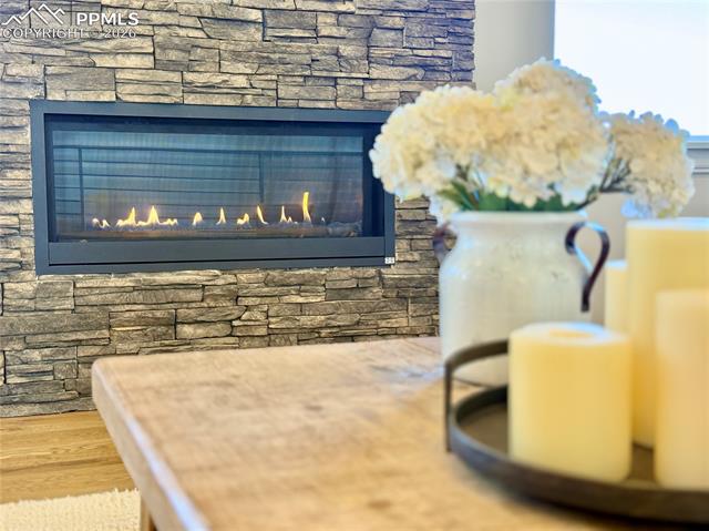 MLS Image for 17364  Pond View  ,Colorado Springs, Colorado