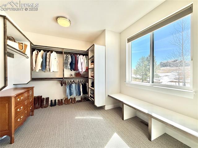 MLS Image for 17364  Pond View  ,Colorado Springs, Colorado