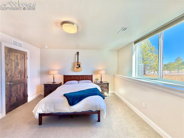 MLS Image for 17364  Pond View  ,Colorado Springs, Colorado