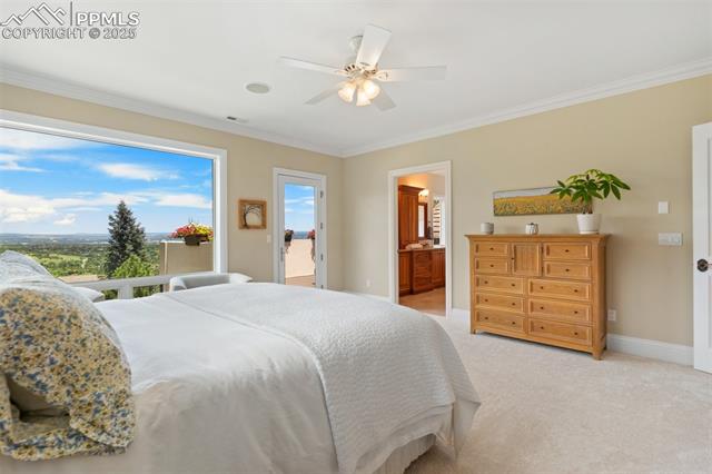 MLS Image for 4490  Star Ranch  ,Colorado Springs, Colorado