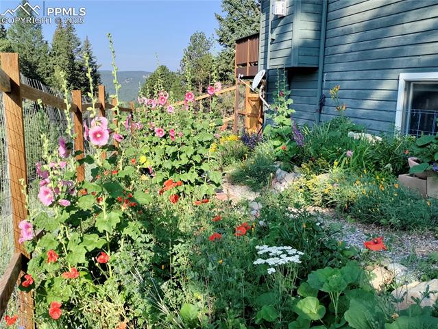 MLS Image for 2988  Sunnywood  ,Woodland Park, Colorado