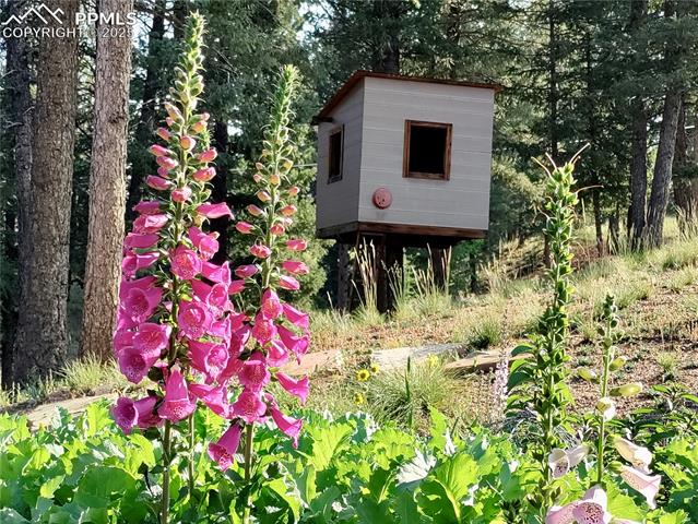 MLS Image for 2988  Sunnywood  ,Woodland Park, Colorado