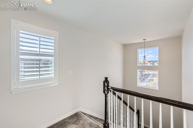 MLS Image for 11253  Modern Meadow  ,Colorado Springs, Colorado