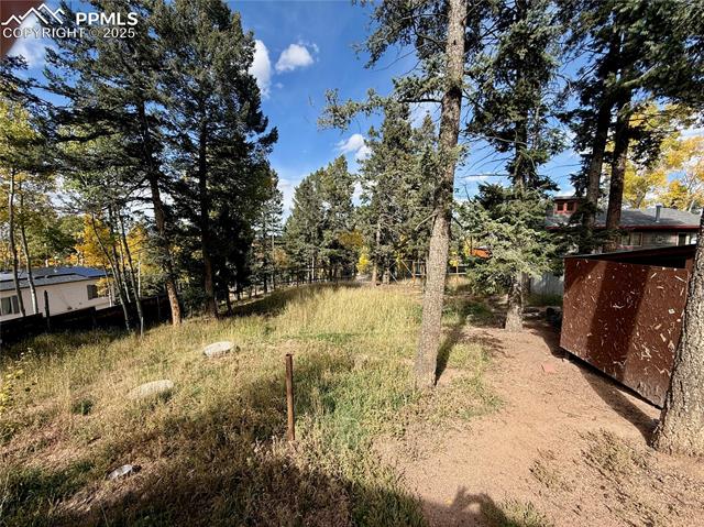 MLS Image for 753  Will Stutley  ,Divide, Colorado