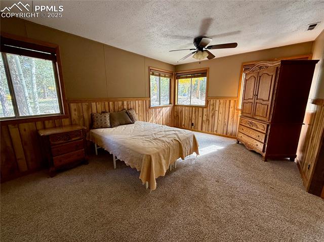 MLS Image for 753  Will Stutley  ,Divide, Colorado