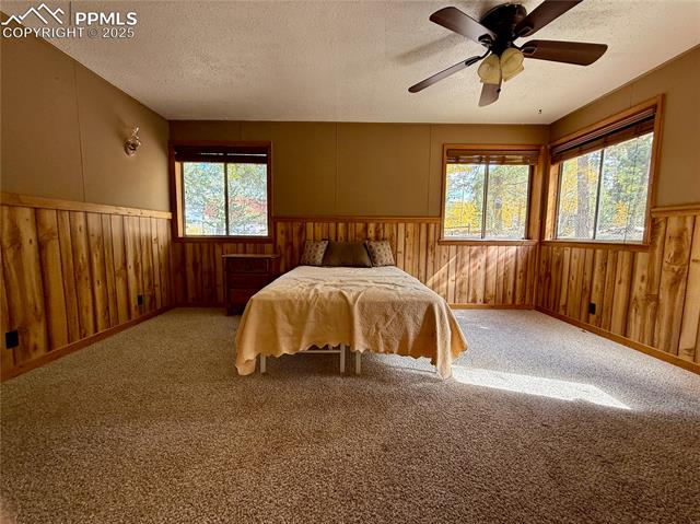 MLS Image for 753  Will Stutley  ,Divide, Colorado