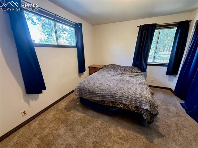 MLS Image for 753  Will Stutley  ,Divide, Colorado