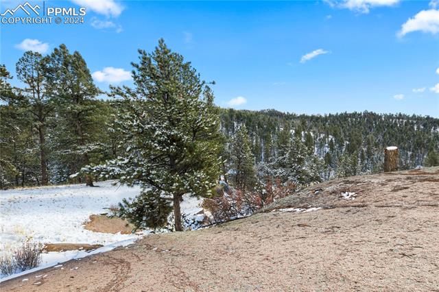 MLS Image for 48  Huntsman  ,Florissant, Colorado