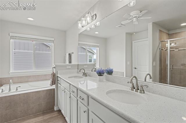 MLS Image for 4974  Olympus  ,Colorado Springs, Colorado