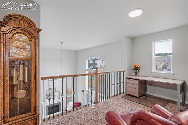 MLS Image for 4974  Olympus  ,Colorado Springs, Colorado
