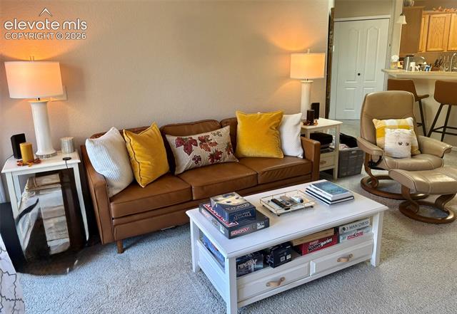 MLS Image for 2055  Montura  204 ,Colorado Springs, Colorado