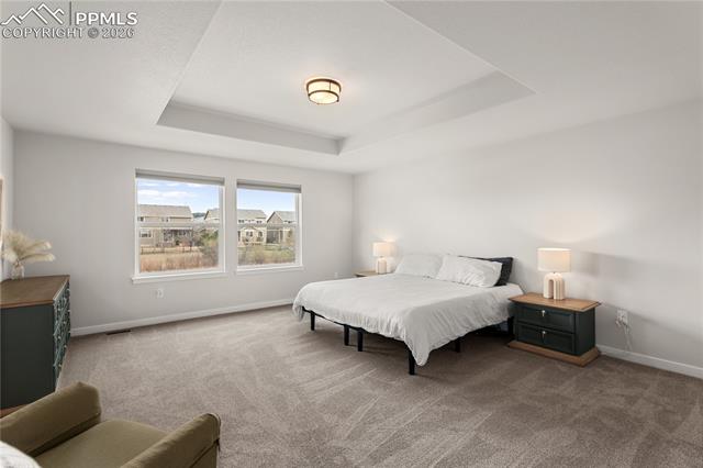 MLS Image for 17529  Lucky Penny  ,Monument, Colorado