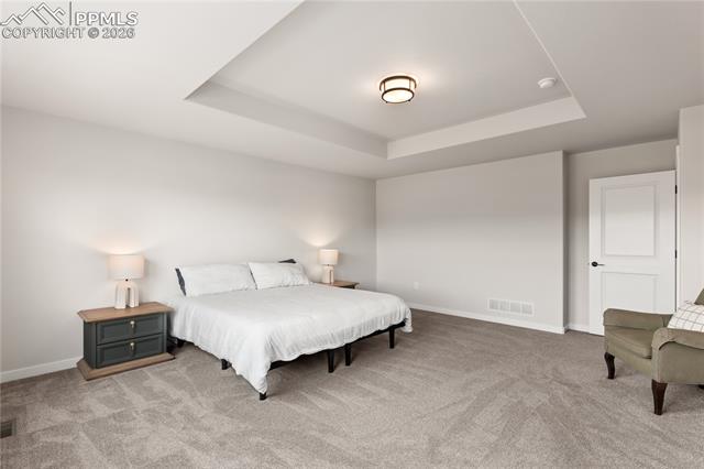 MLS Image for 17529  Lucky Penny  ,Monument, Colorado