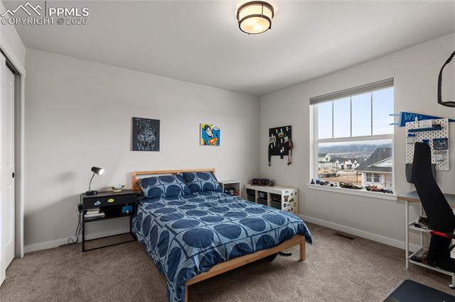 MLS Image for 17529  Lucky Penny  ,Monument, Colorado