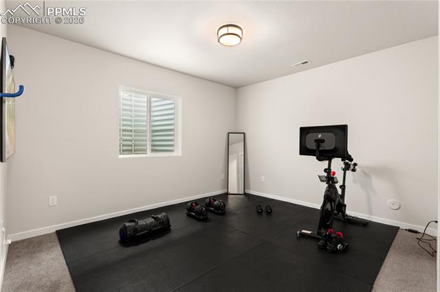 MLS Image for 17529  Lucky Penny  ,Monument, Colorado