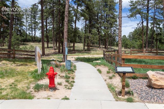 MLS Image for 1678  Lazy Cat  ,Monument, Colorado