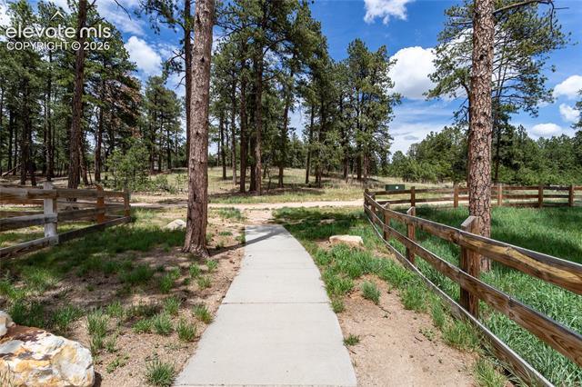 MLS Image for 1678  Lazy Cat  ,Monument, Colorado