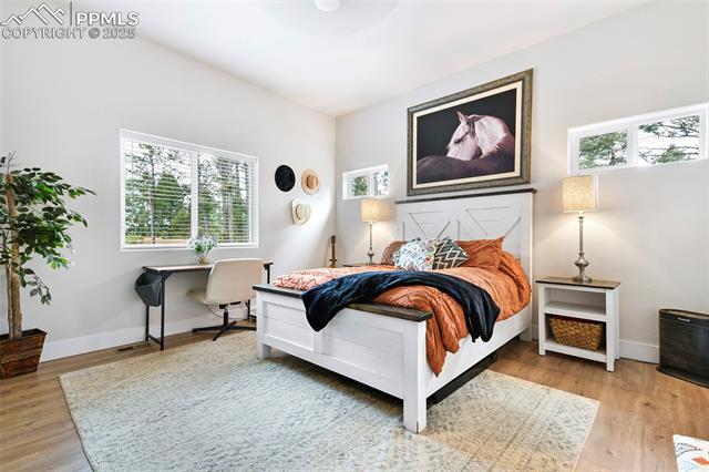 MLS Image for 29  Dusti  ,Florissant, Colorado