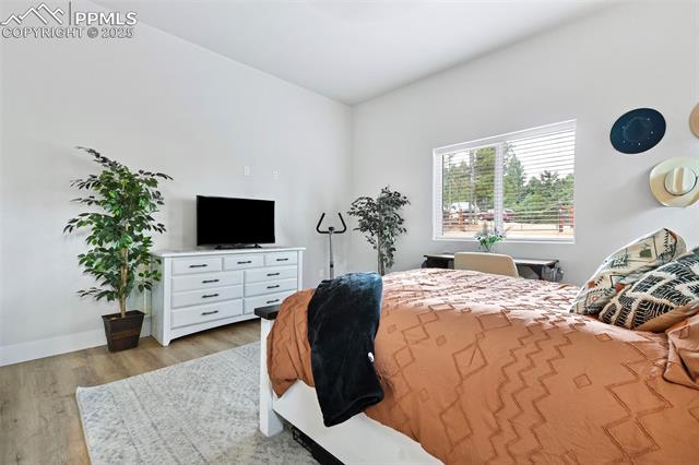 MLS Image for 29  Dusti  ,Florissant, Colorado
