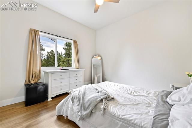MLS Image for 29  Dusti  ,Florissant, Colorado