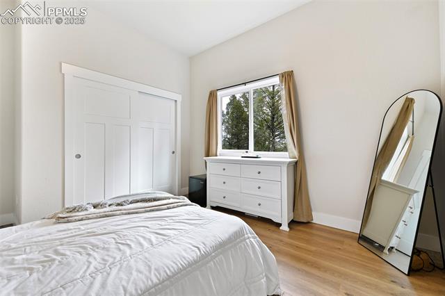 MLS Image for 29  Dusti  ,Florissant, Colorado