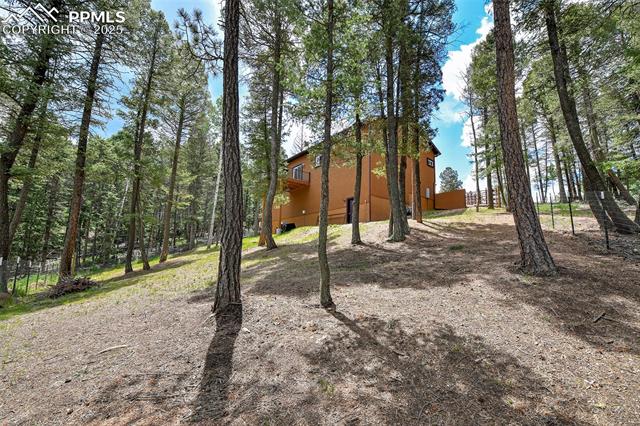 MLS Image for 29  Dusti  ,Florissant, Colorado